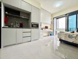 Parc Clematis (D5), Apartment #619520971